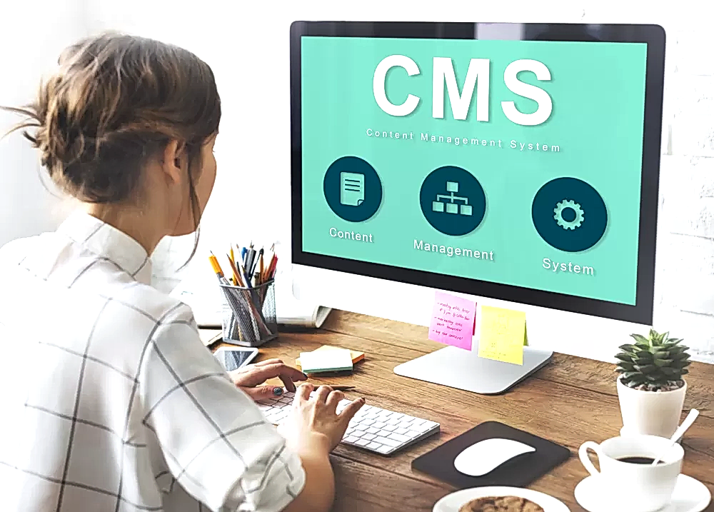 web yazılım firmaları